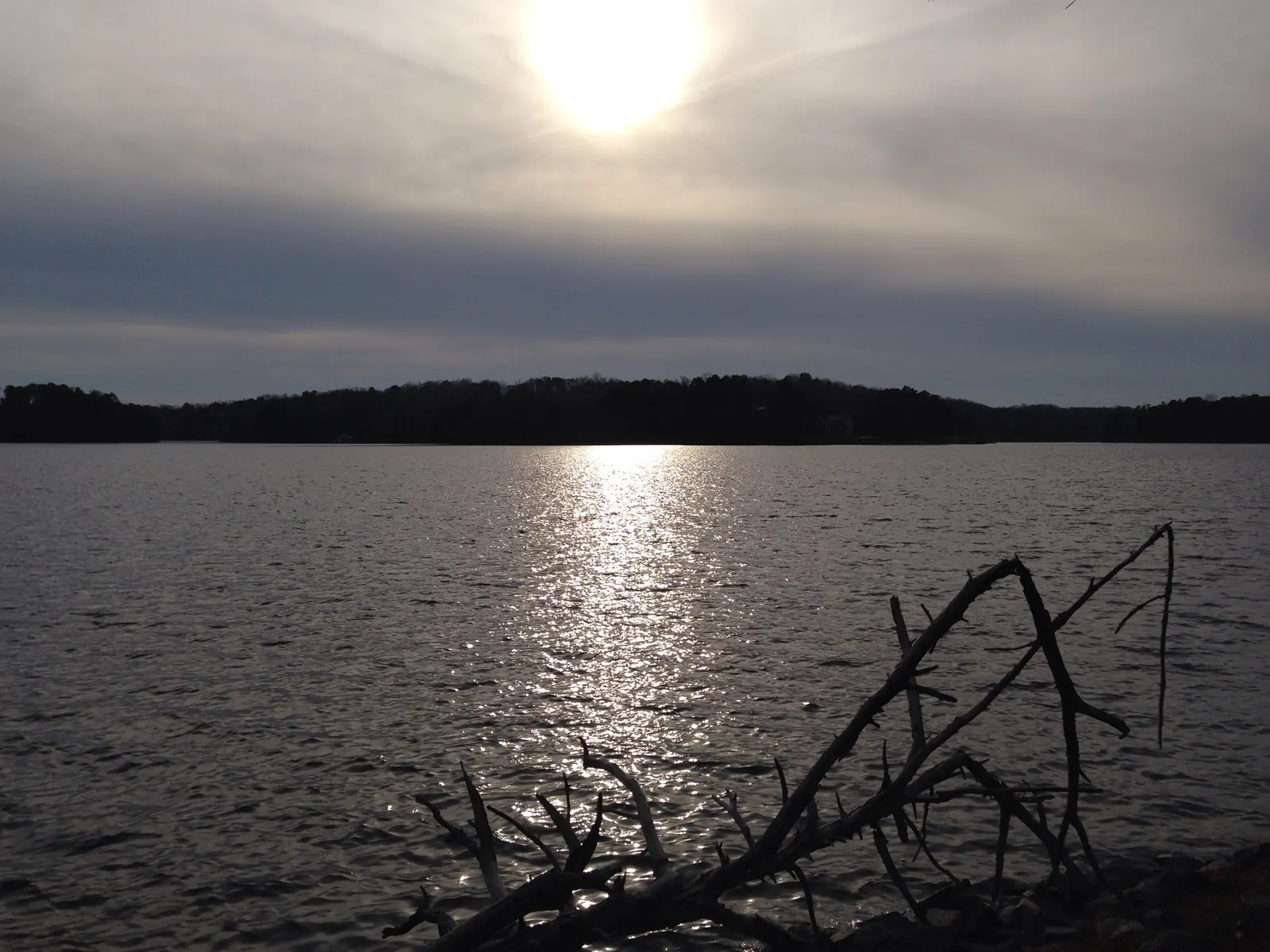 A hazy sun over a wide lake casts a band of light across rippled water, with a low tree-lined far shore and a bare dead branch silhouetted in the foreground.